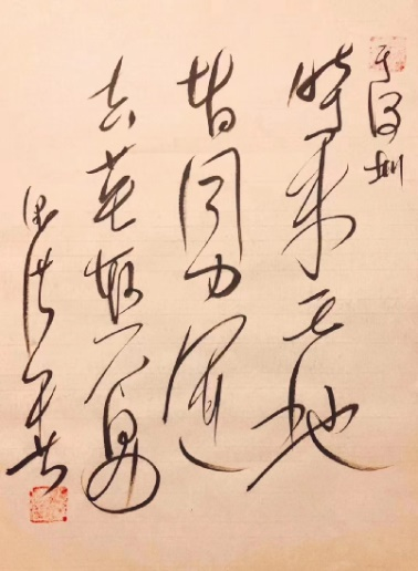 全新数智时代,vivo以长期主义护航用户安全(图16)
