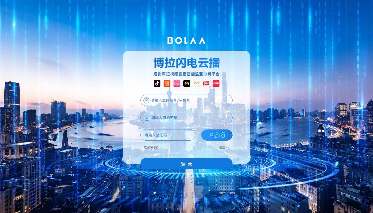 博拉童毅:矢志成为数字商业的“华为”(图3)