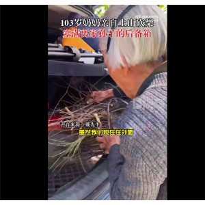 103岁奶奶上山砍柴塞满孙子后备箱：真相破防了 网友泪目