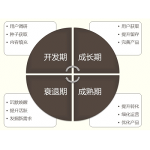 网站内容建设应该怎么做（SEO新手必学）