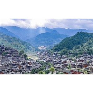  垃圾分类处理行业市场调研 垃圾分类处理行业前景展望