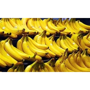  2022年农产品加工机械行业发展趋势及市场前景分析