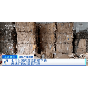 废纸采购价格频频下调！废纸打包站：几乎每天收到新的降价通知