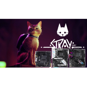 猫猫游戏《Stray》热度不减 华硕AMD主板助你化身为猫