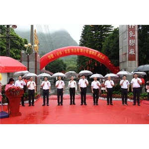 桂林乳胶敢于求变 稳健医疗为其带来第三次飞跃