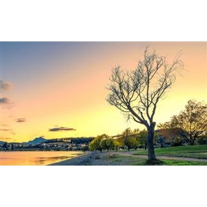  中医诊疗火遍全球 中医药走出去步入快车道 中医药行业主要厂商与品牌市场占有率格局分析