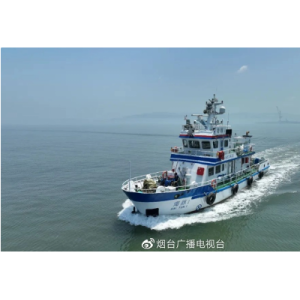 苹果探索新型控制方式：Vision Pro将摒弃传统遥控器