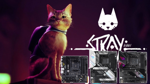 猫猫游戏《Stray》热度不减 华硕AMD主板助你化身为猫